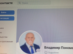 Первые руководители Камышина перестали разговаривать с камышанами в своих каналах