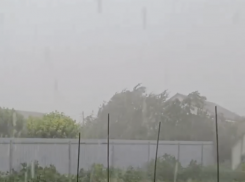 Вырванные деревья и поваленные столбы оставил вчерашний шторм в Михайловке