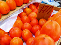 Роспотребнадзор напомнил камышанам, какие фрукты надо есть в предзимье, чтобы «мотивировать» иммунитет 