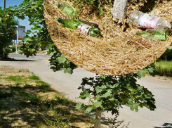 Почему камышанам не прививается культура не «плевать» себе под ноги?