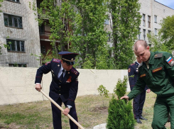 В Камышине 9 мая силовики заложили новый сквер и высадили в нем именные деревья в память о погибших фронтовиках