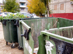 Администрация настаивает, чтобы камышане из частного сектора дружно выбрали способ вывоза мусора