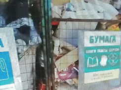 Камышане пока не видят перемен с вывозом мусора и возмущены заторможенным «стартом» нового регоператора (ВИДЕО)