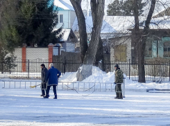 Потепление и мокрый снег накроют Камышин
