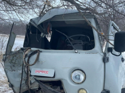 В Волгоградской области «УАЗ» улетел в кювет и изранил пассажиров и водителя из-за кота на дороге