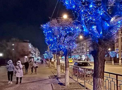 Количество камышан, подхвативших вирус, фиксируется десятками