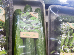 Камышанам предлают дополнительные тонны выращенных в Волгоградской области свежих овощей