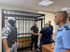 Подозреваемого в зверском убийстве судьи Ветлугина в Камышине взяли под стражу в Центральном районном суде Волгограда