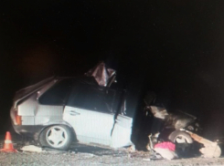 Под Камышином «гонщик» на ВАЗе неудачно «догнал» грузовик «Рено» и попал к хирургам