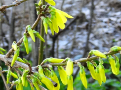 Синоптики велели камышанам приготовиться к снегу сегодня, 22 апреля