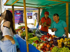 Волгоградский фермер назвал две настоящие причины диких цен и плохого качества продуктов