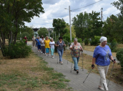 Камышинские «бабушки в дозоре» отправились убирать парк у стеклотарного завода: больше некому?