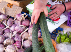 В Камышине на рынке у «Победы» активисты соцсетей попытались на камеру выяснить, сколько стоит торговое место, и за что берут эти деньги (ВИДЕО)