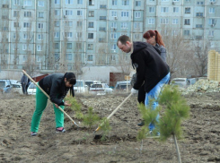 Полицейские Камышина наперекор погоде продолжают подсаживать будущий парк на третьем городке