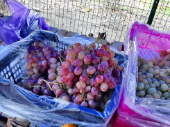 В Камышине уличные рынки завалили «новогодним» виноградом