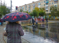 Теплый дождь: такой прогноз на пятницу в Камышине