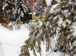 Синоптики велели камышанам приготовиться к крепким морозам: погода 14 января