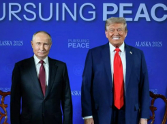 Путин лично примет капитуляцию Зеленского – их встреча уже готовится: Трамп потребовал от Украины признать потерю территорий, - «Блокнот - Россия»