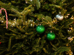 Девушка украла наряженную елку у входа в школу, - «Блокнот Волжского» (ВИДЕО)