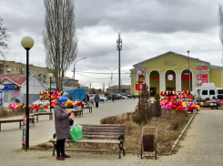 Кому нравятся в Камышине «аллеи» кладбищенских цветов в центре города? - камышанка