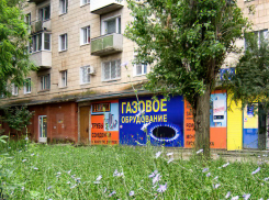 По дороге к «самому туристическому» месту Камышина трава колосится в пояс! - камышанин (ВИДЕО)