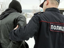 Следователи Камышина получили результаты важных экспертиз по делу о гибели бывшего руководителя отдела Роспотребнадзора в Камышине Александра Кулакова