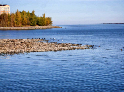 Для Волжской ГЭС установили предельно низкий уровень сброса воды, чтобы пополнить запасы водохранилища