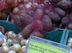 Почти половину семейного бюджета жители Волгоградской области тратят на еду