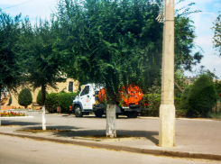 В Камышине службы благоустройства активизировали полив цветников водовозками