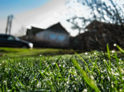 В Камышине полиция заинтересовалась молодой хозяйкой дома, зарегистрировавшей на своей площади четверых узбеков