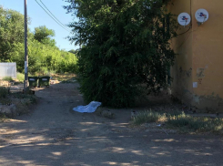 Шок: в Камышине мусоровоз задавил насмерть 32-летнюю женщину