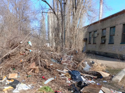 Товарищ глава, у Вас в городе свалка в 10-ти метрах от садика, не знали? - камышанка