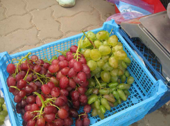 На камышинских рынках виноград предлагают по 100 рублей, а арбузы по 10