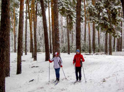 Камышане проторили лыжни и налепили снеговиков в лесопитомнике