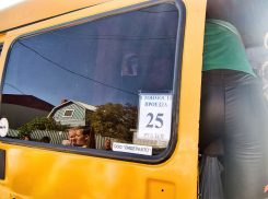 В Камышине, несмотря на подорожавший проезд, в маршрутки и автобусы оказалось не втиснуться (ВИДЕО)
