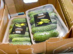 В Камышине в феврале огурцы в магазинах обогнали по цене бананы вдвое