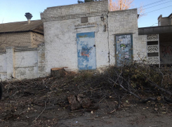 Спилить - спилили, а убрать забыли: остановка «Горбольница № 1» завалена ветками