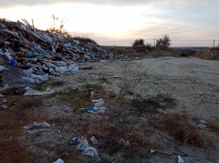 Камышинская городская прокуратура внесла представление председателю комитета администрации Камышина Игорю Коваленко о несанкционированных свалках