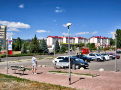 Сорняки в цветниках смотрятся убого, почему нельзя вырастить хотя бы газонную траву? - камышанка