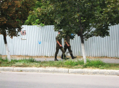 Камышан будут призывать в армию круглый год  