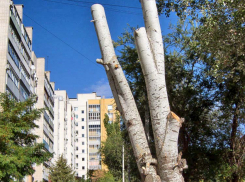  У администрации Камышина из «ТОПовых» направлений финансирования пиар по-прежнему неискореним