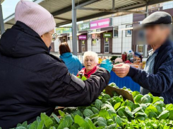 Жителям Волгоградской области назвали главные схемы мошенников в 2026 году 