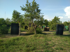 В парке Текстильщиков одни отдыхающие наслаждаются природой, другие остерегаются «расстегнутых личностей в кустах»