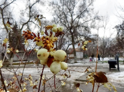 «Парад» ветров и «плюс»: весенняя погодная повестка для Камышина на 9 января