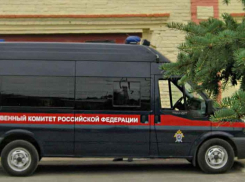 В Волгограде идут под суд подростки-воры, изуродовавшие прохожего за замечание