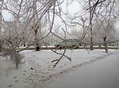 Понедельник 15 января приходит в Камышин солнечным и морозным