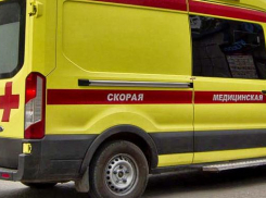 На трассе между Камышином и Волгоградом молодой водитель слетел в кювет, пострадала пенсионерка-пассажирка