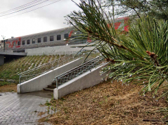 Синоптики подтверждают прогноз для Камышина на субботу, 18 ноября: дождь с мокрым снегом 