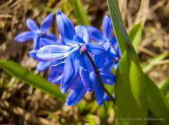 Камышан ждут солнечные и теплые выходные, но еще одно похолодание маячит на горизонте