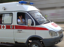 На трассе между Камышином и Волгоградом легковушка врезалась в КАМАЗ, пострадали школьники